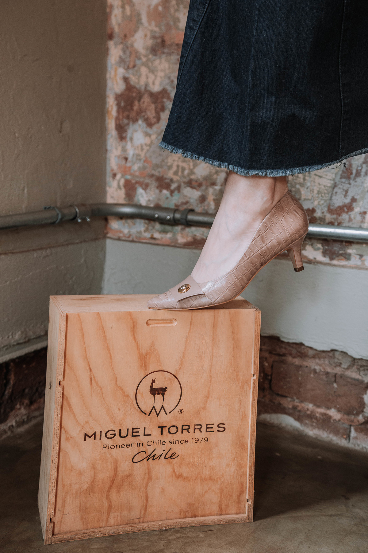 ensaio profissional de campanha