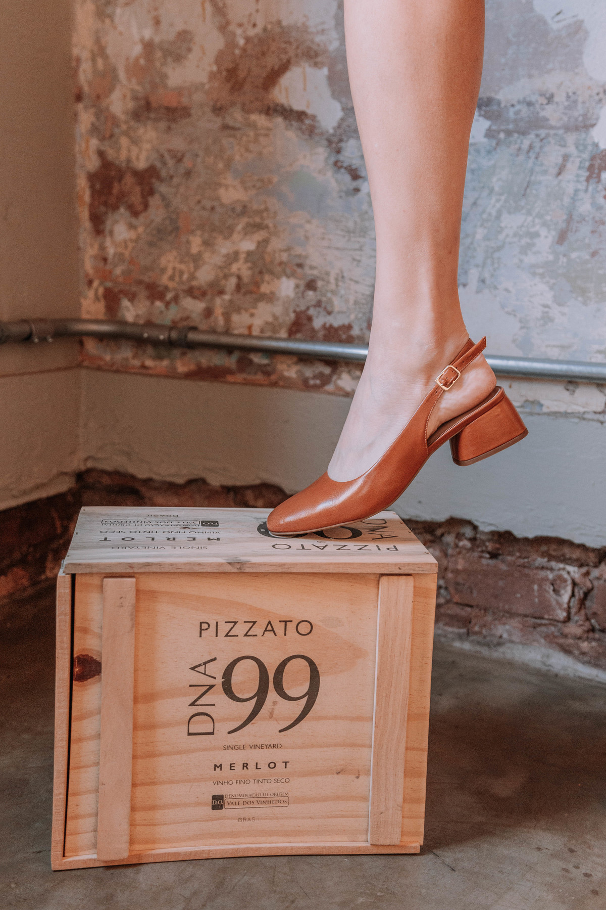 branding visual para campanhas de moda