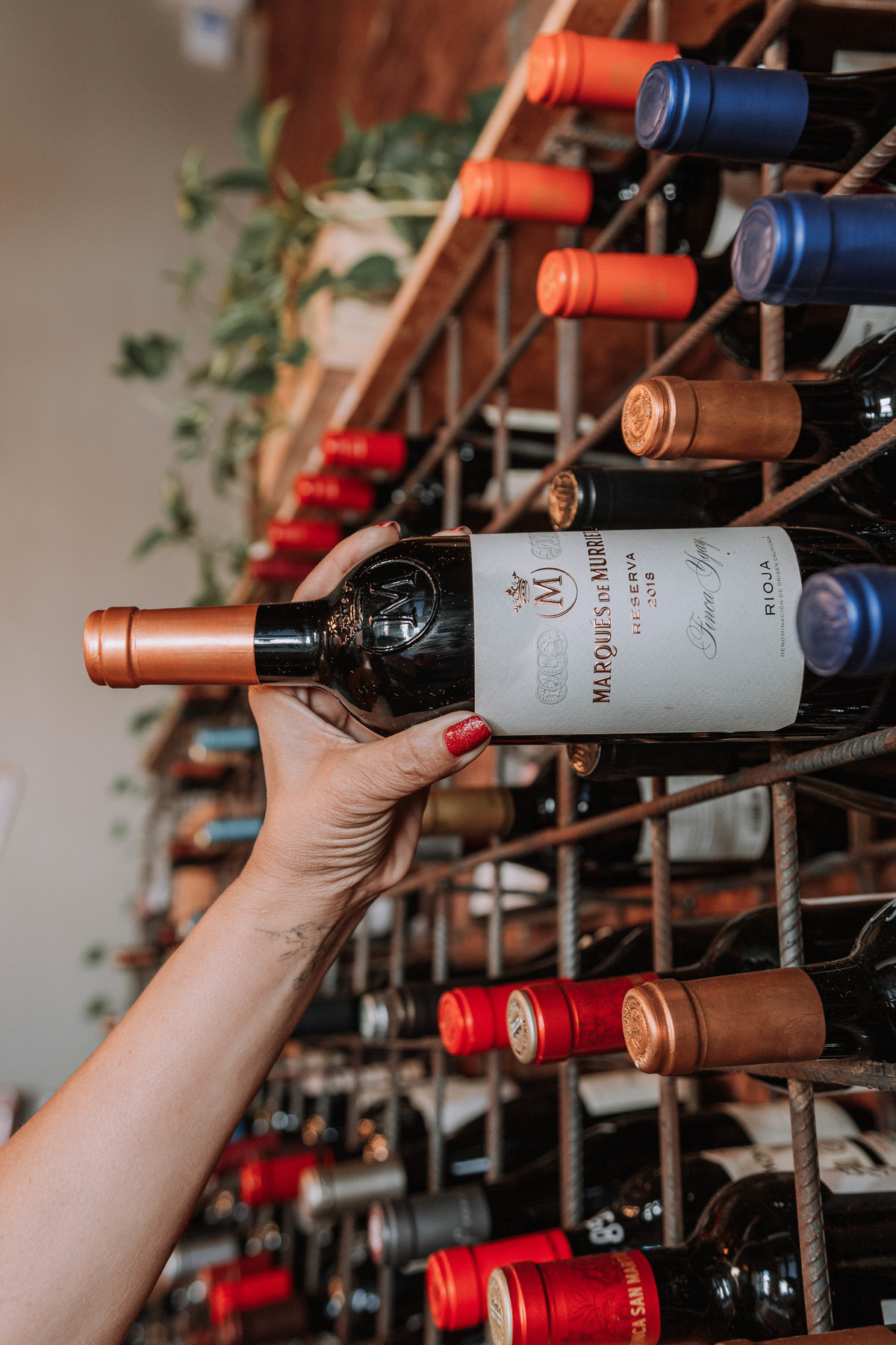 fotografia comercial de vinhos