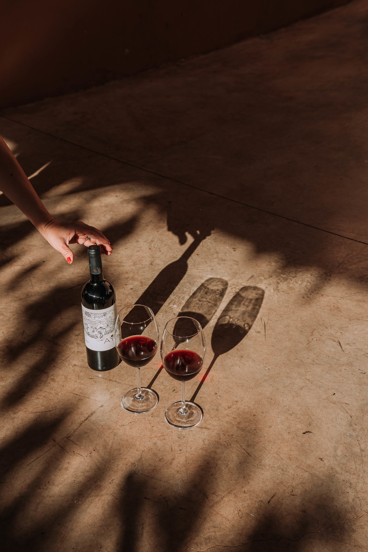 fotógrafa publicitária em Jaú SP