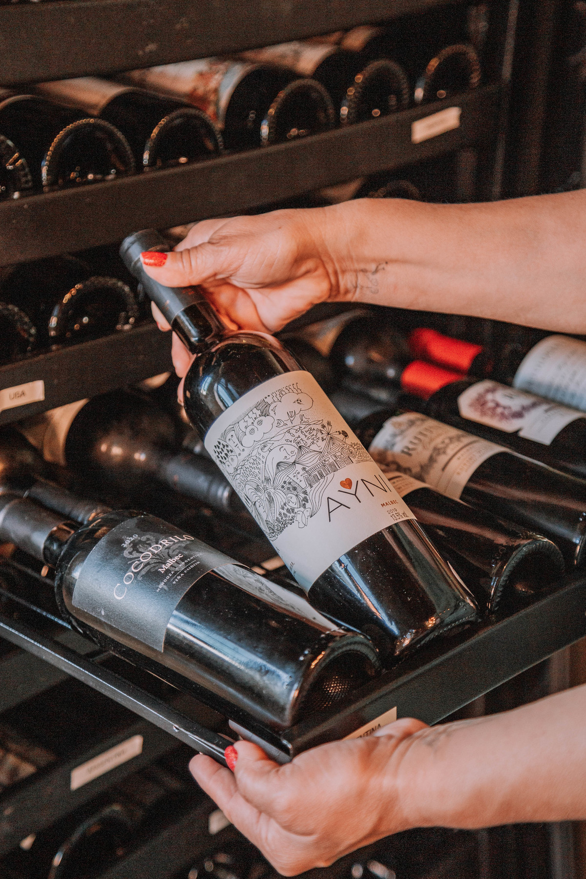 branding fotográfico com identidade