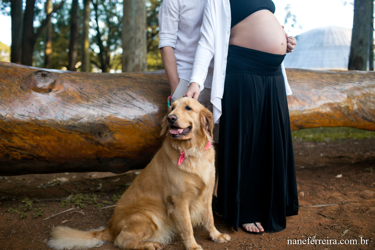 Ensaio gestante no parque 
fotografia gestante 
ensaio gestante exerno 
Ensaio gestante parque ibirapuera 