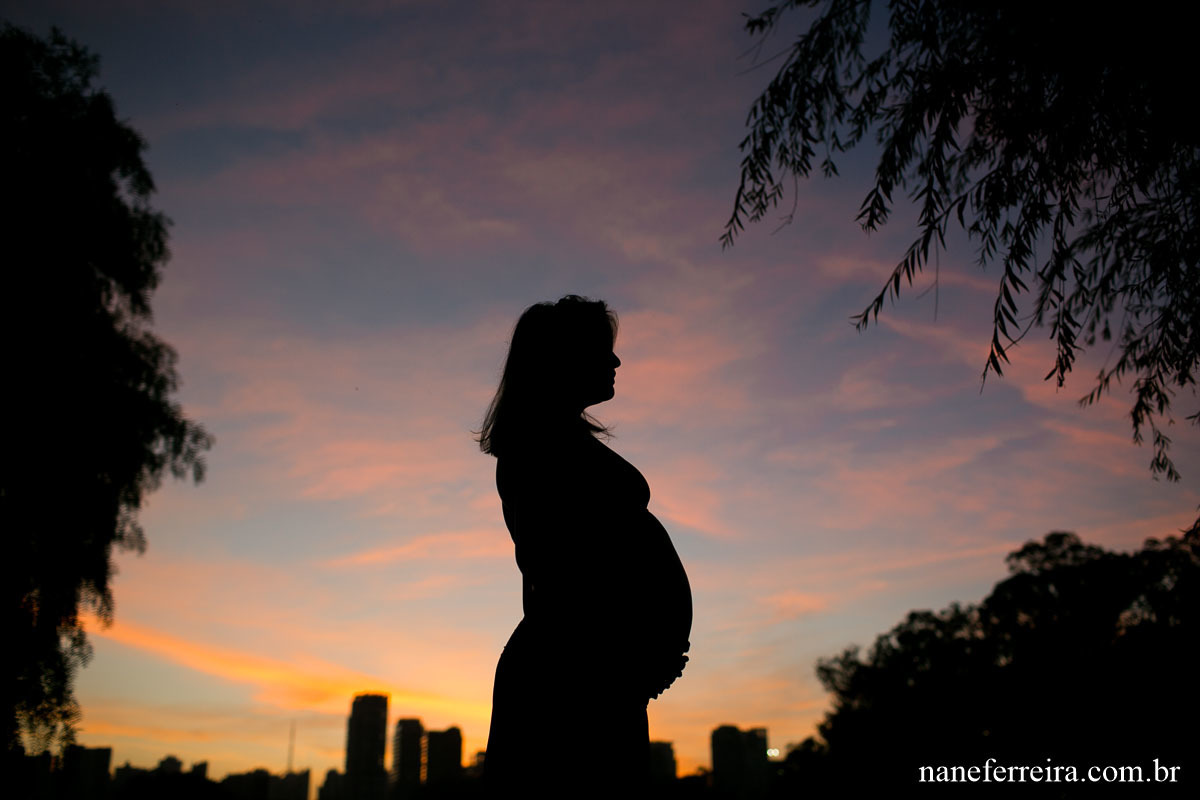 Ensaio gestante no parque 
fotografia gestante 
ensaio gestante exerno 
Ensaio gestante parque ibirapuera 