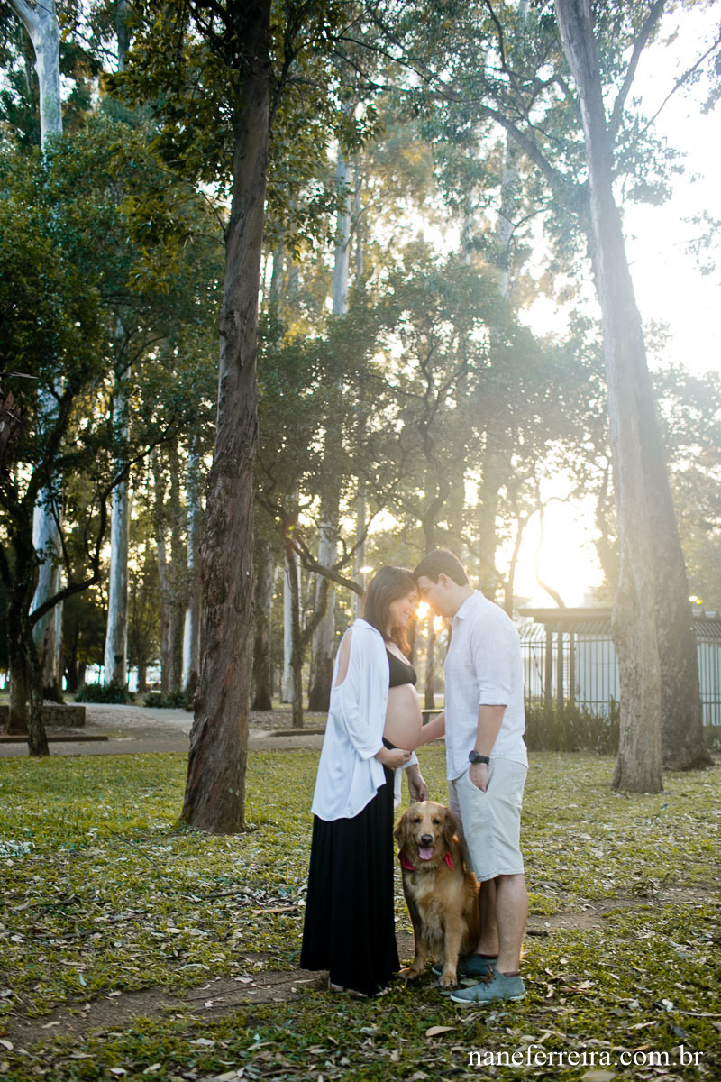 Ensaio gestante no parque 
fotografia gestante 
ensaio gestante exerno 
Ensaio gestante parque ibirapuera 