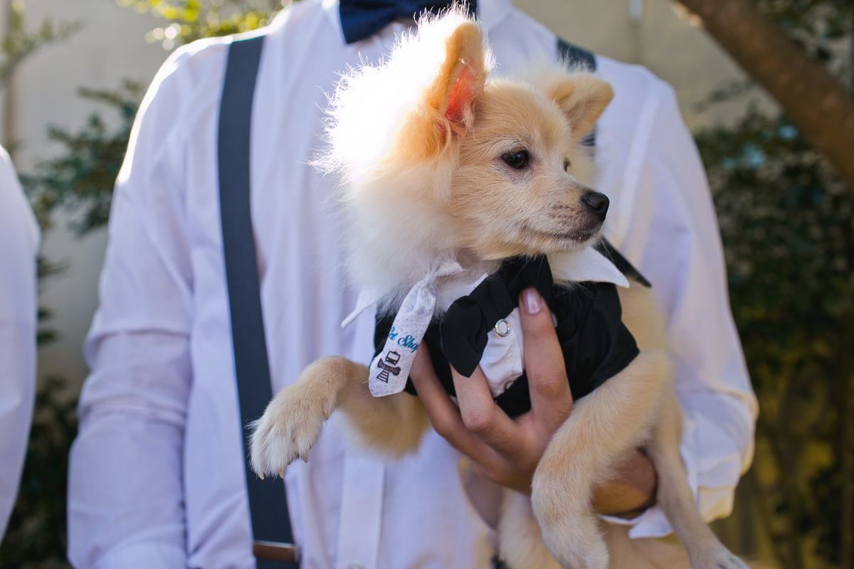 Fotografia de casamento 
decoração de casamento 
noiva 
Mini wedding 
casamento de dia 
