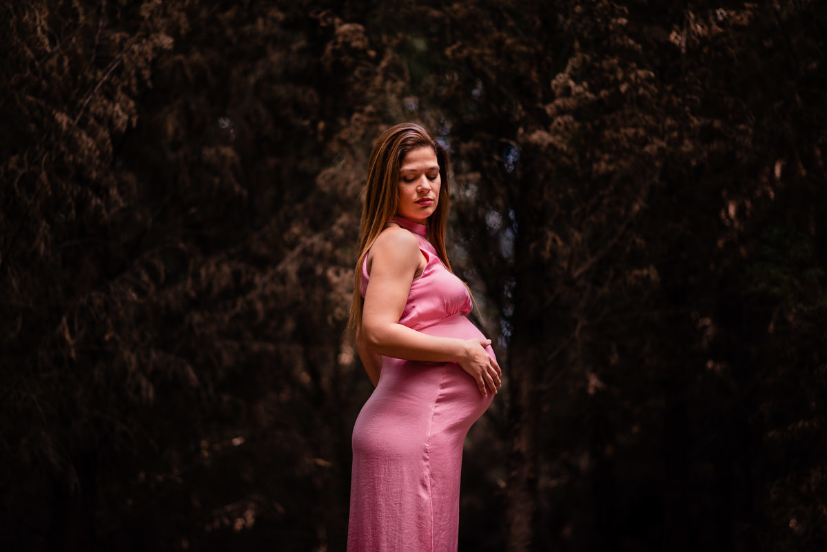 fotografias de grávida