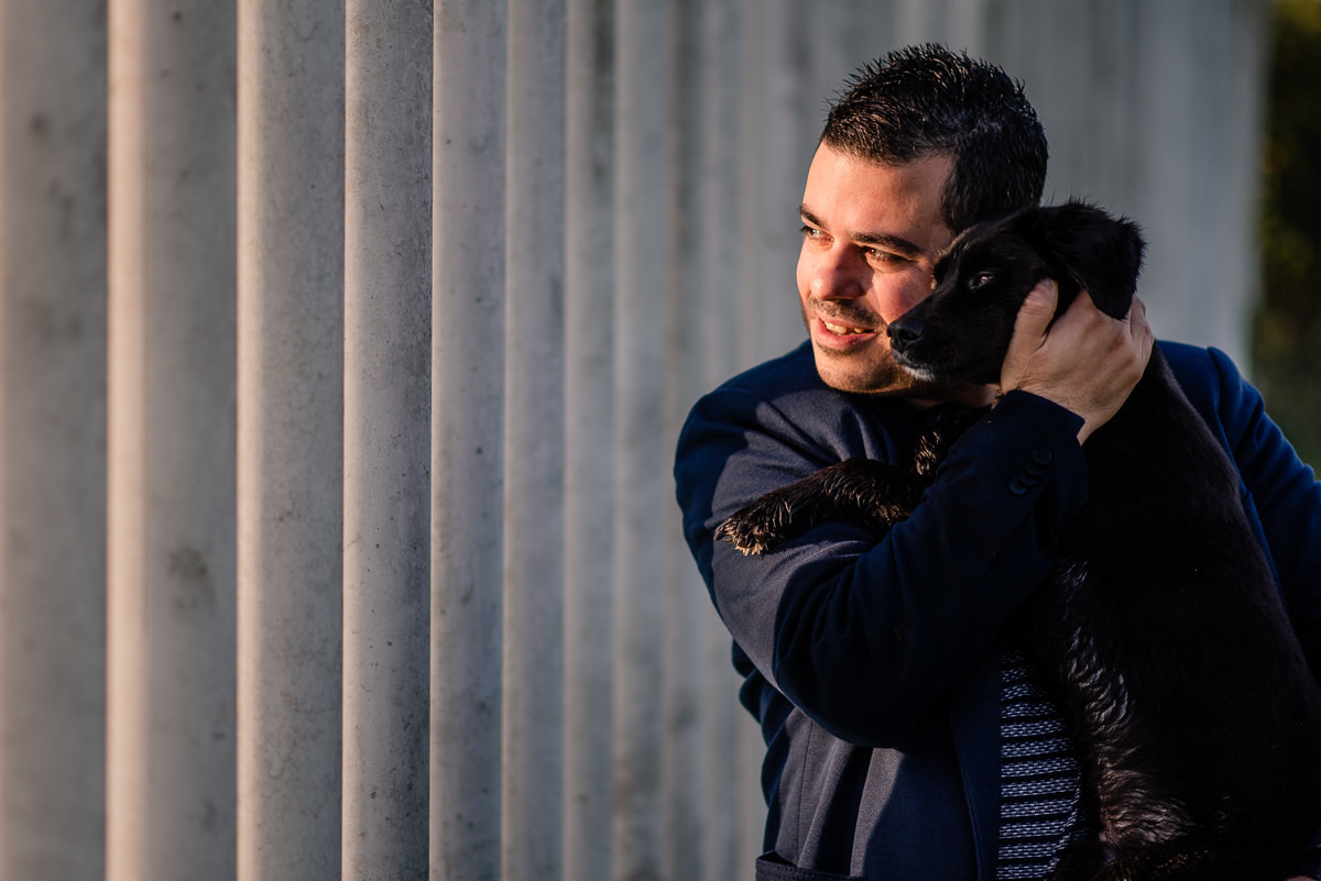 sessão fotográfica cão