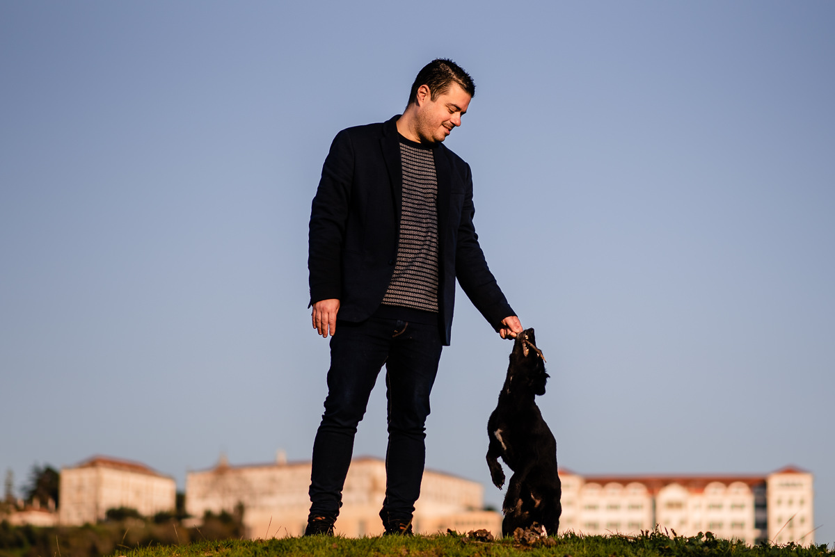 sessão fotográfica cão