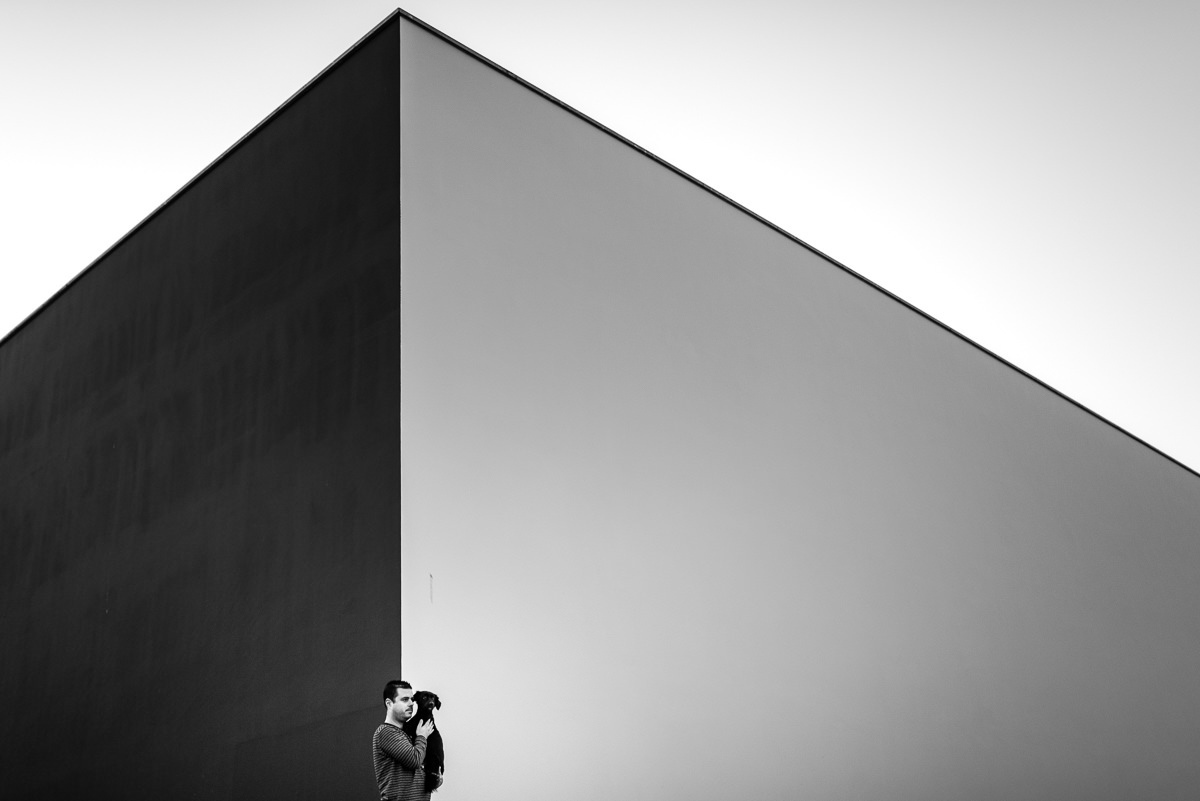 sessão fotográfica cão
