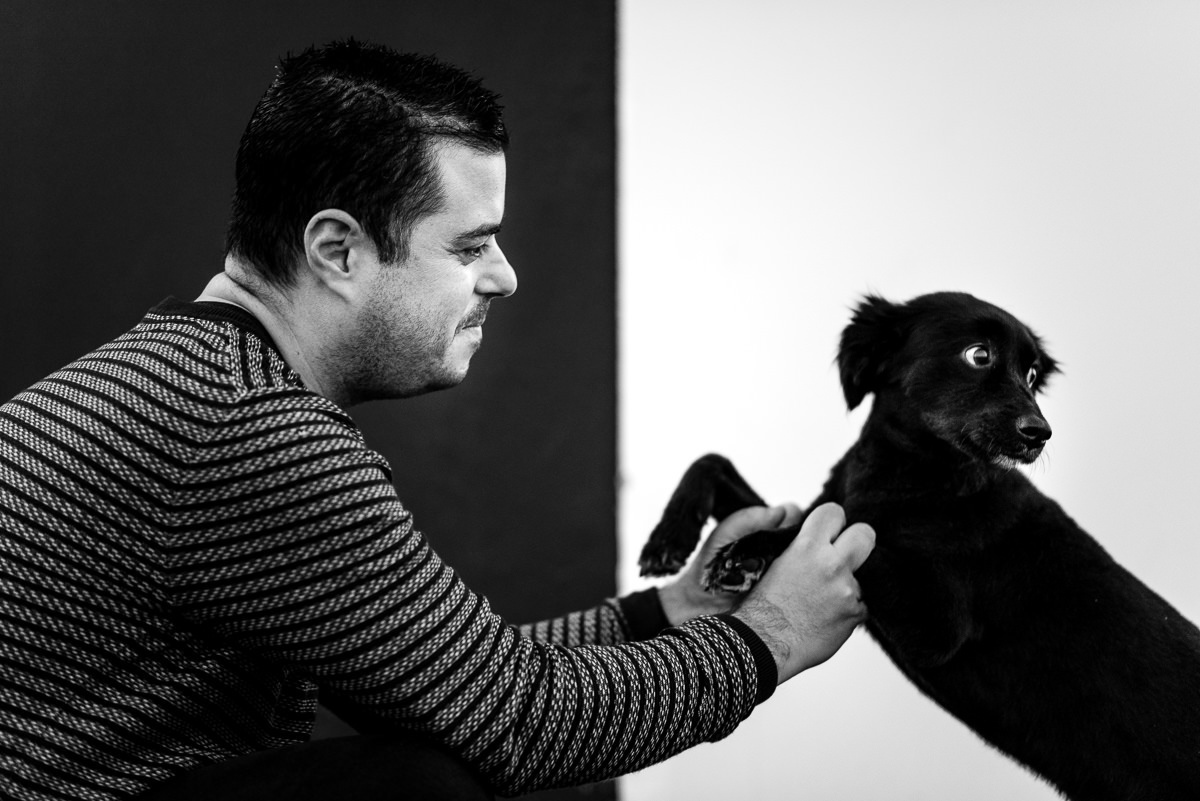 sessão fotográfica cão