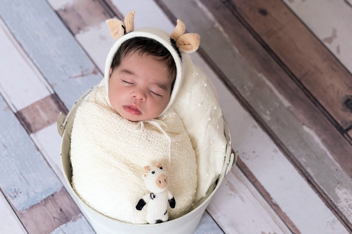 Fotos de recém nascidos, deste bebê lindo, José Henrique de 12 dias. Ensaio realizado em Pará de Minas. Foto no prop Baldinho