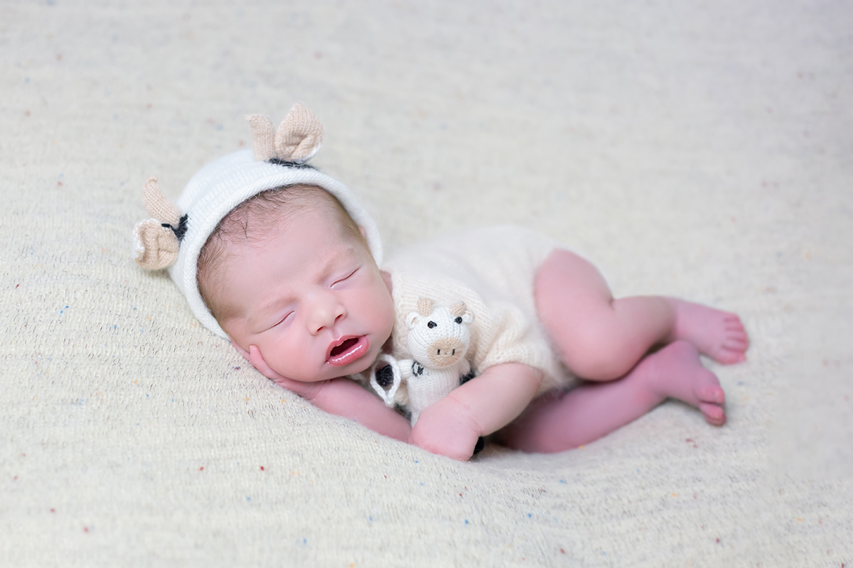 Fotografias de newborn do Francisco, em Pará de Minas. Pode de ladinho