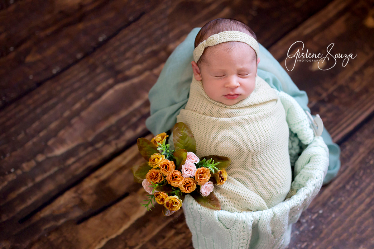Ensaio de newborn em Belo Horizonte em tons de verde. Newbor pose no prop balde. Pise em madeira.
