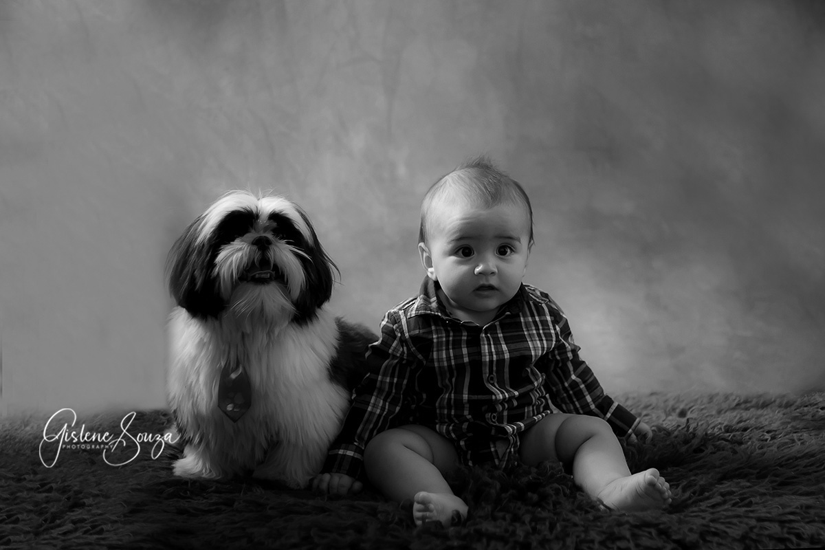 Ensaio  Infantil. Acompanhamento Trimestral do Vinícius 6 meses. Realizado em Pará de Minas. Vinícius e seu pet.