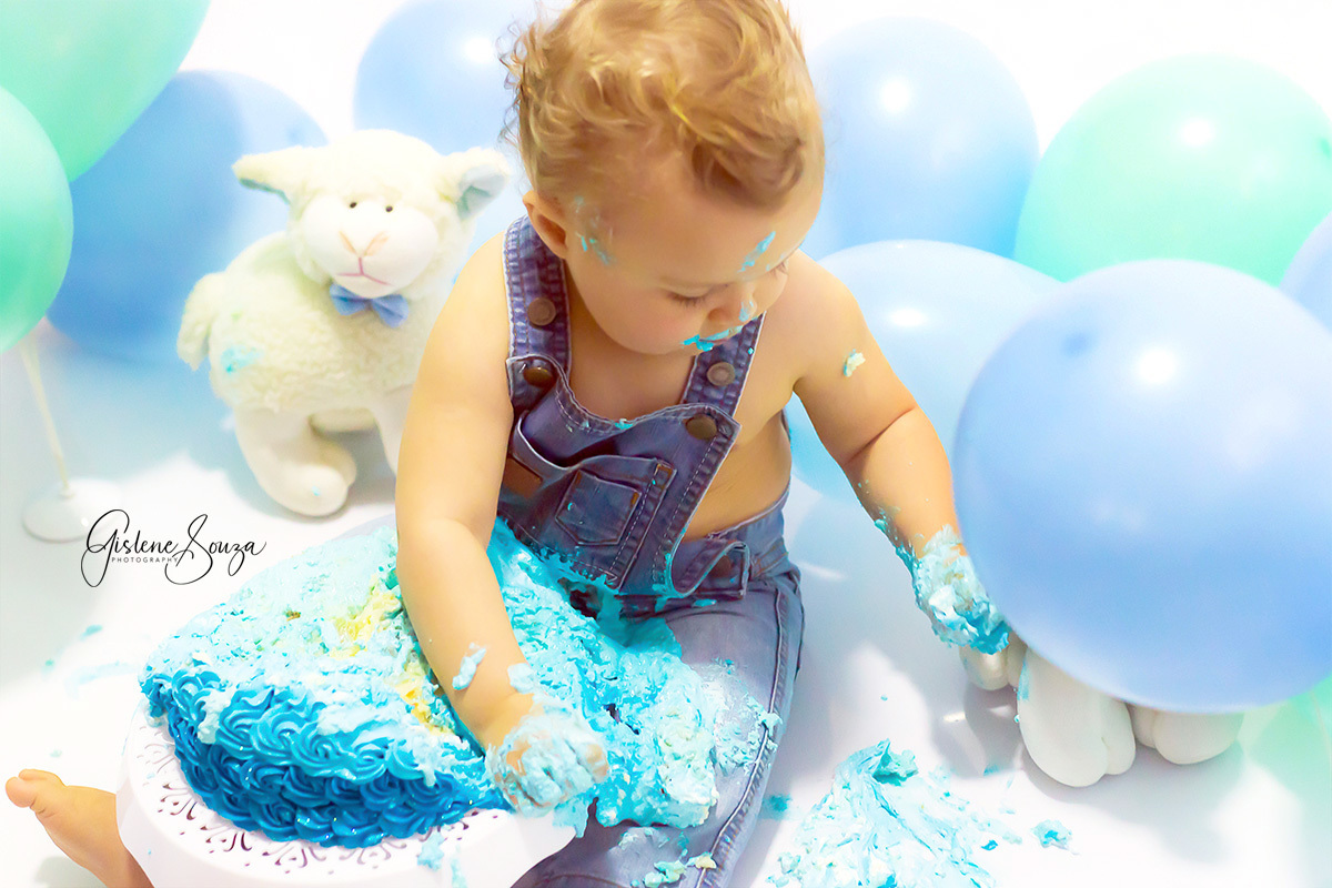 Fotos do Smash the cake do Luigi em Para de Minas