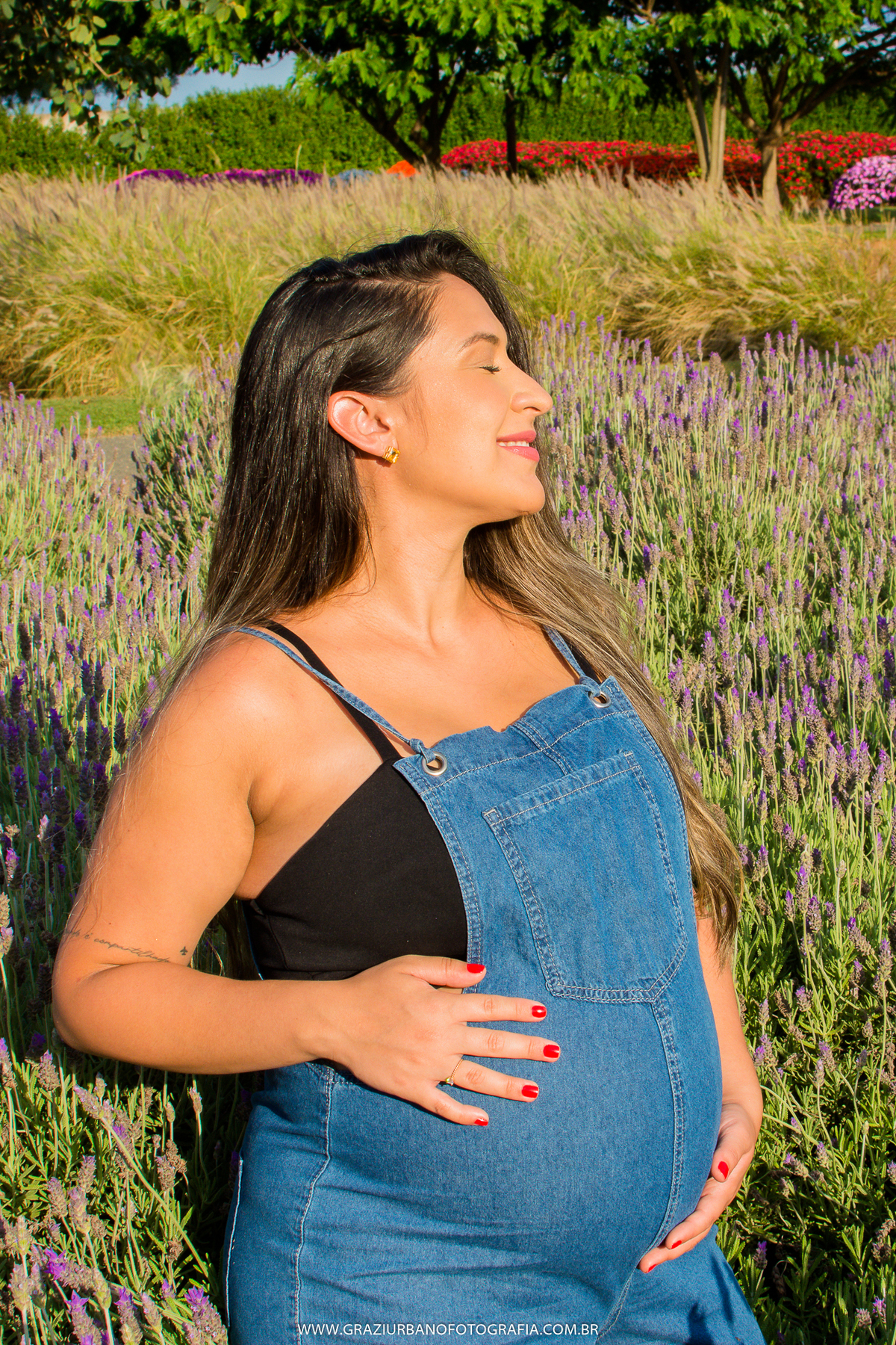 ensaio gestante campo de lavanda