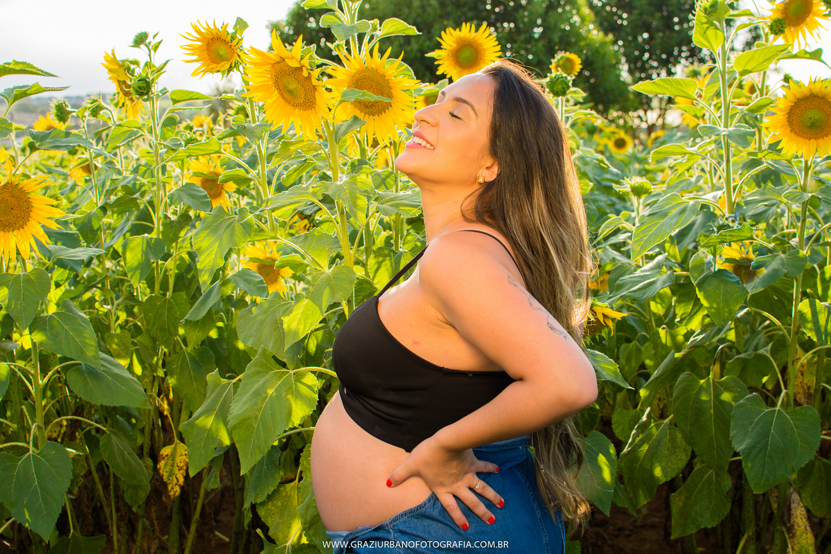 ensaio gestante campo de girasol