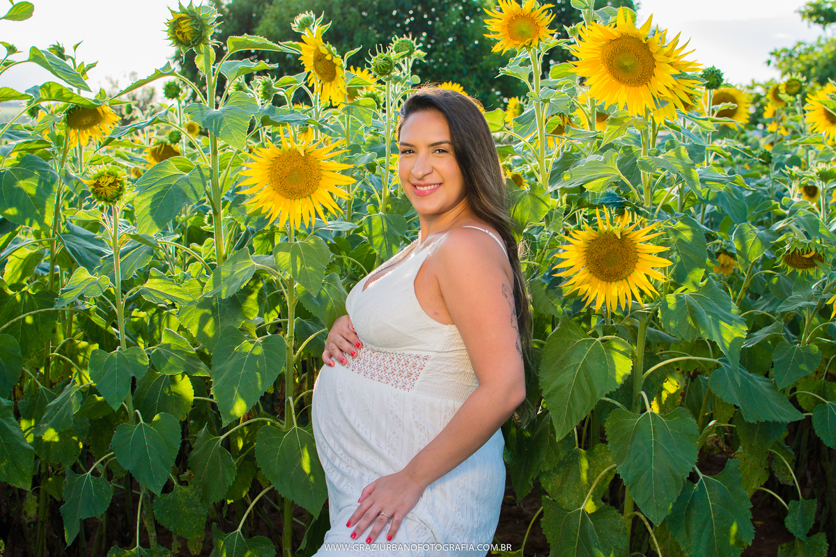 ensaio gestante em holambra