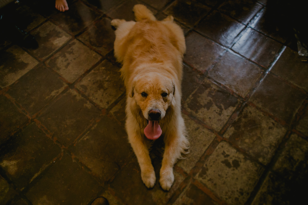 emotion fotografia, fotografia, fotografia de casamento, fotografo de casamento,fotografo de casamento em bh, bh fotografo, bh casamentos, casamento belo horizonte, amor, love, pre casamento,save the date,buque, vestido de noiva, noivas mineiras, sapato d