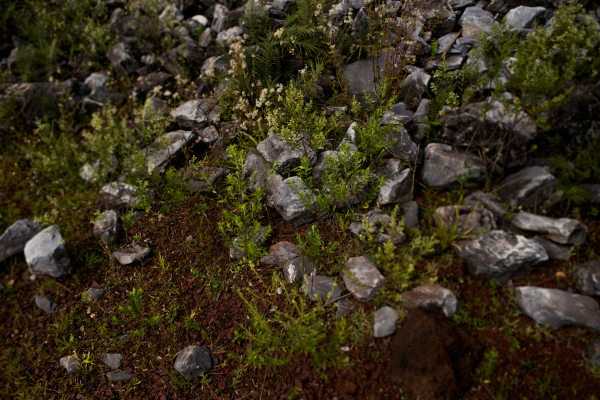 emotion fotografia, fotografia, fotografia de casamento, fotografo de casamento,fotografo de casamento em bh, bh fotografo, bh casamentos, casamento belo horizonte, amor, love, pre casamento,save the date,buque, vestido de noiva, noivas mineiras, sapato d