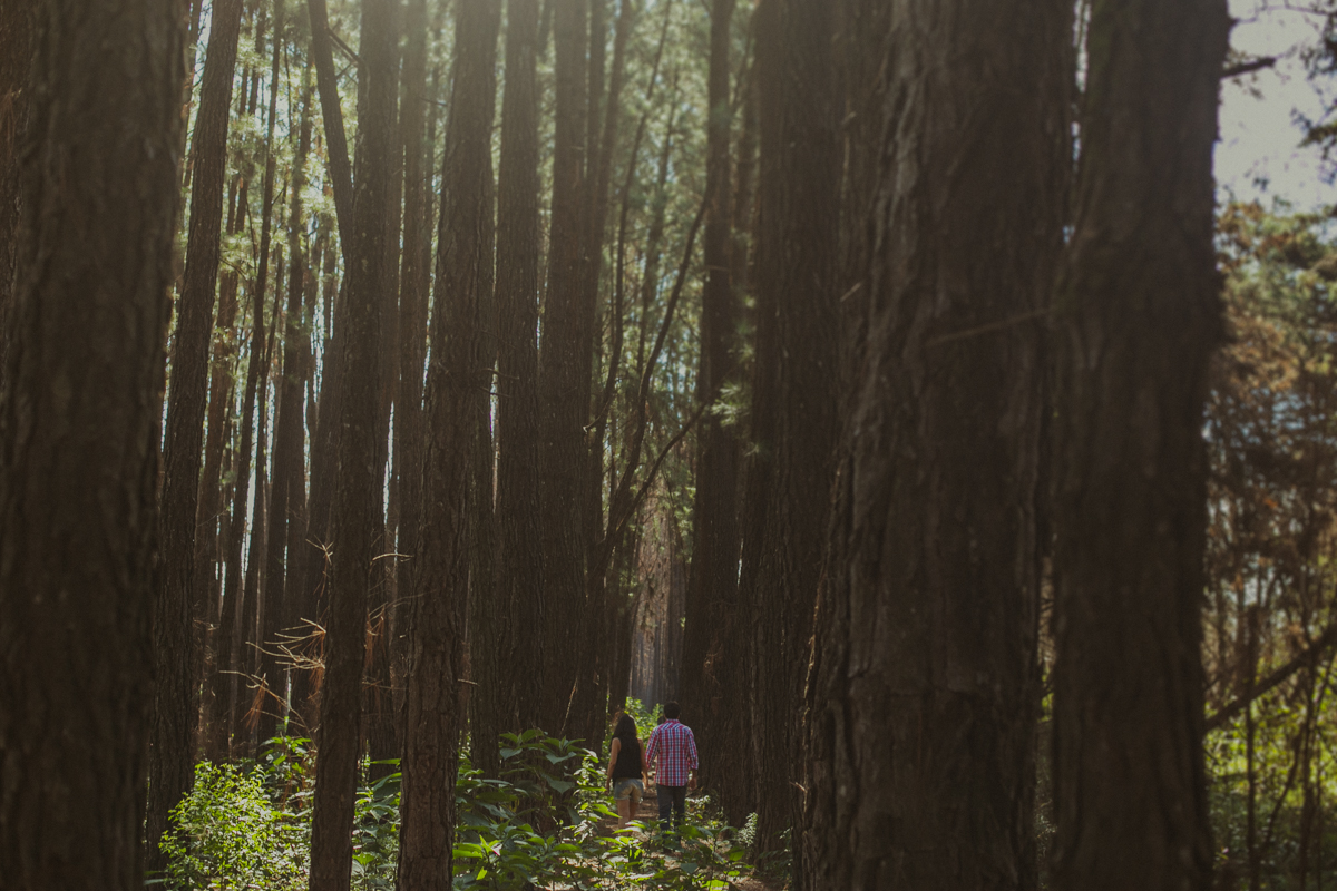 emotion fotografia, fotografia, fotografia de casamento, fotografo de casamento,fotografo de casamento em bh, bh fotografo, bh casamentos, casamento belo horizonte, amor, love, pre casamento,save the date,buque, vestido de noiva, noivas mineiras, sapato d