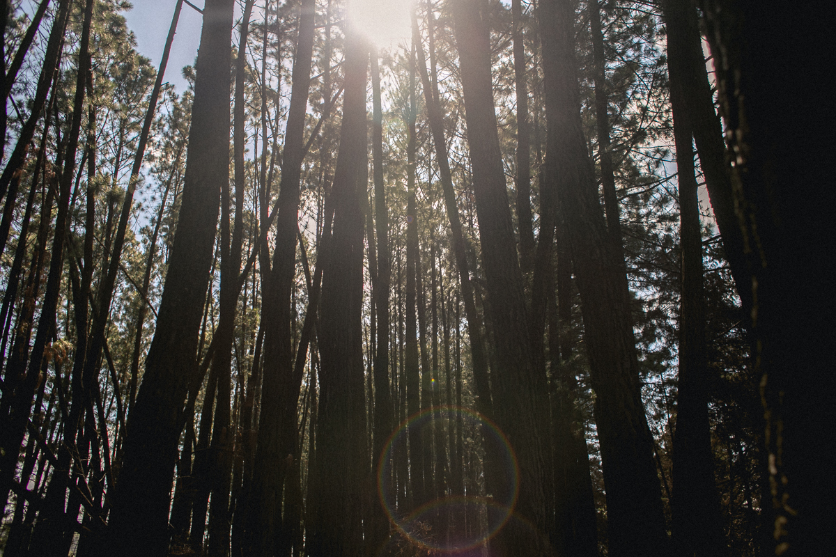 emotion fotografia, fotografia, fotografia de casamento, fotografo de casamento,fotografo de casamento em bh, bh fotografo, bh casamentos, casamento belo horizonte, amor, love, pre casamento,save the date,buque, vestido de noiva, noivas mineiras, sapato d