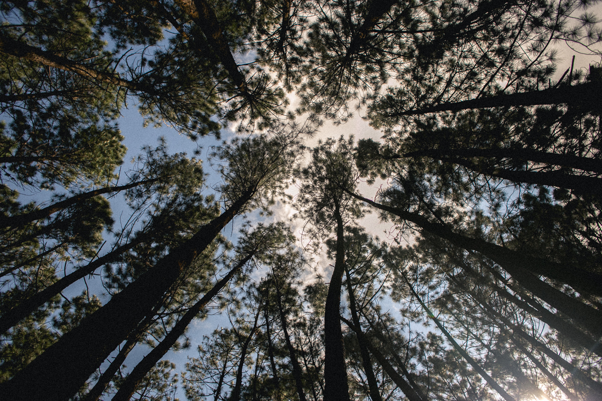emotion fotografia, fotografia, fotografia de casamento, fotografo de casamento,fotografo de casamento em bh, bh fotografo, bh casamentos, casamento belo horizonte, amor, love, pre casamento,save the date,buque, vestido de noiva, noivas mineiras, sapato d