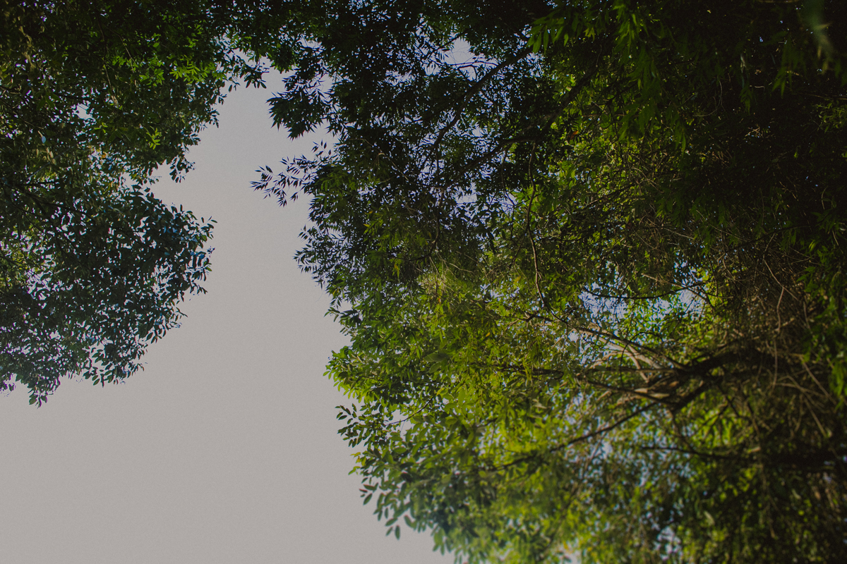 emotion fotografia, fotografia, fotografia de casamento, fotografo de casamento,fotografo de casamento em bh, bh fotografo, bh casamentos, casamento belo horizonte, amor, love, pre casamento,save the date,buque, vestido de noiva, noivas mineiras, sapato d