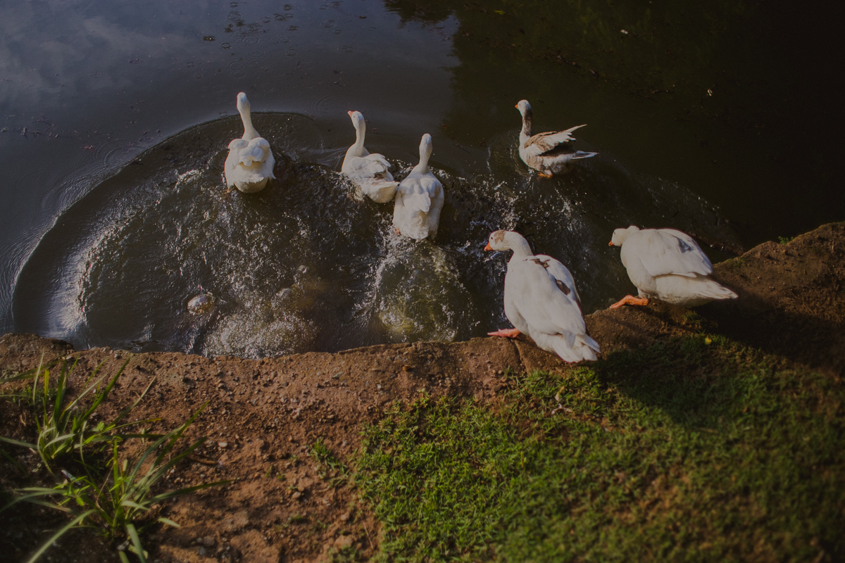 emotion fotografia, fotografia, fotografia de casamento, fotografo de casamento,fotografo de casamento em bh, bh fotografo, bh casamentos, casamento belo horizonte, amor, love, pre casamento,save the date,buque, vestido de noiva, noivas mineiras, sapato d