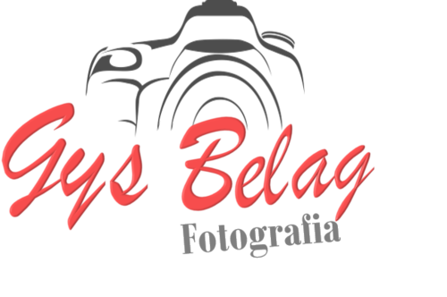 Logotipo de Gys  Belag