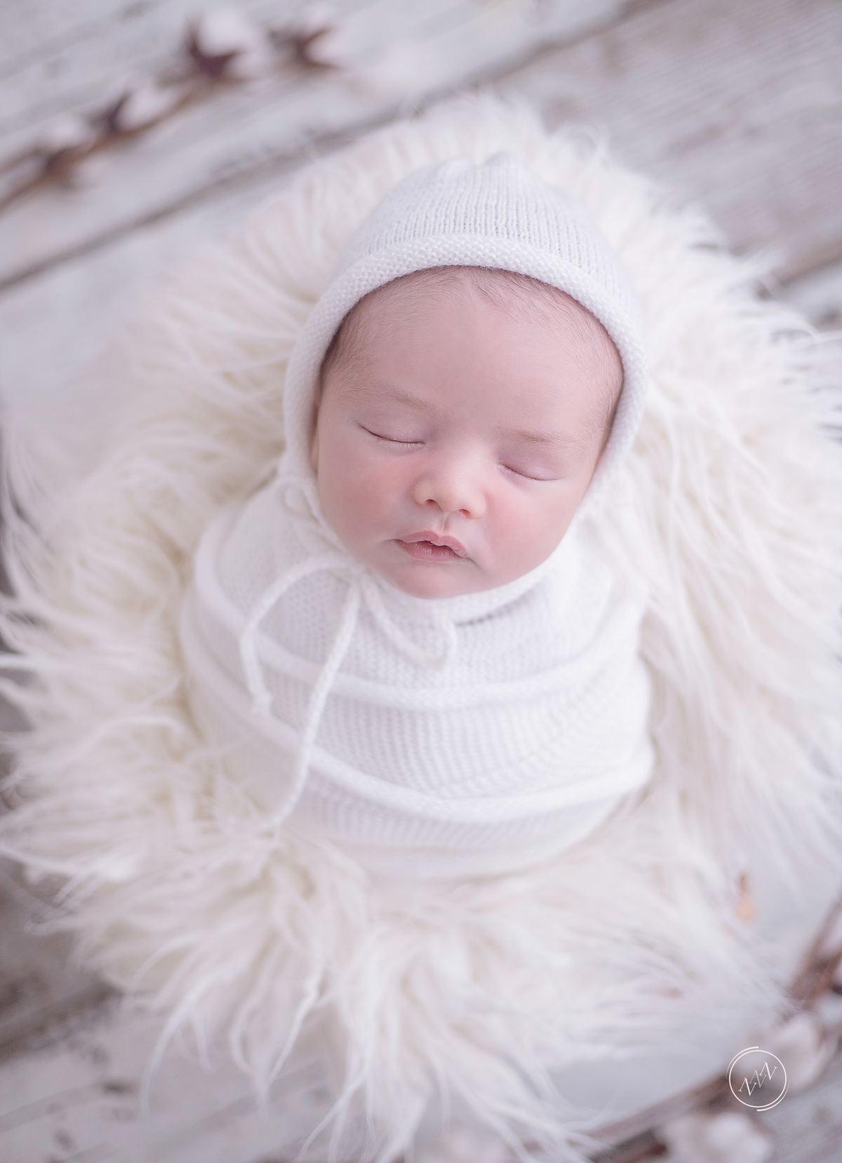 Newborn João Pedro