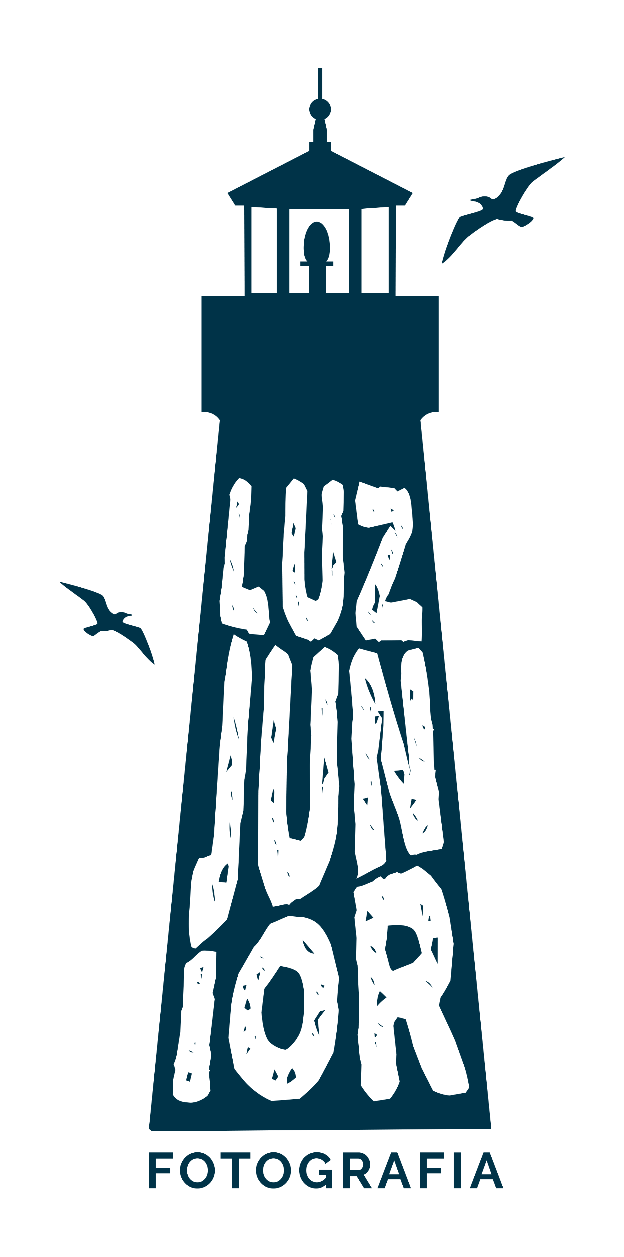 Sobre LUZ JÚNIOR