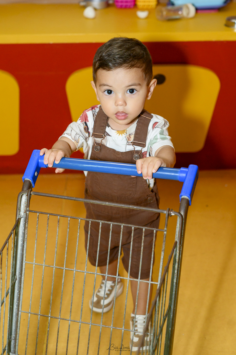 aniversario infantil campinas bia lima fotografia mini vila buffet