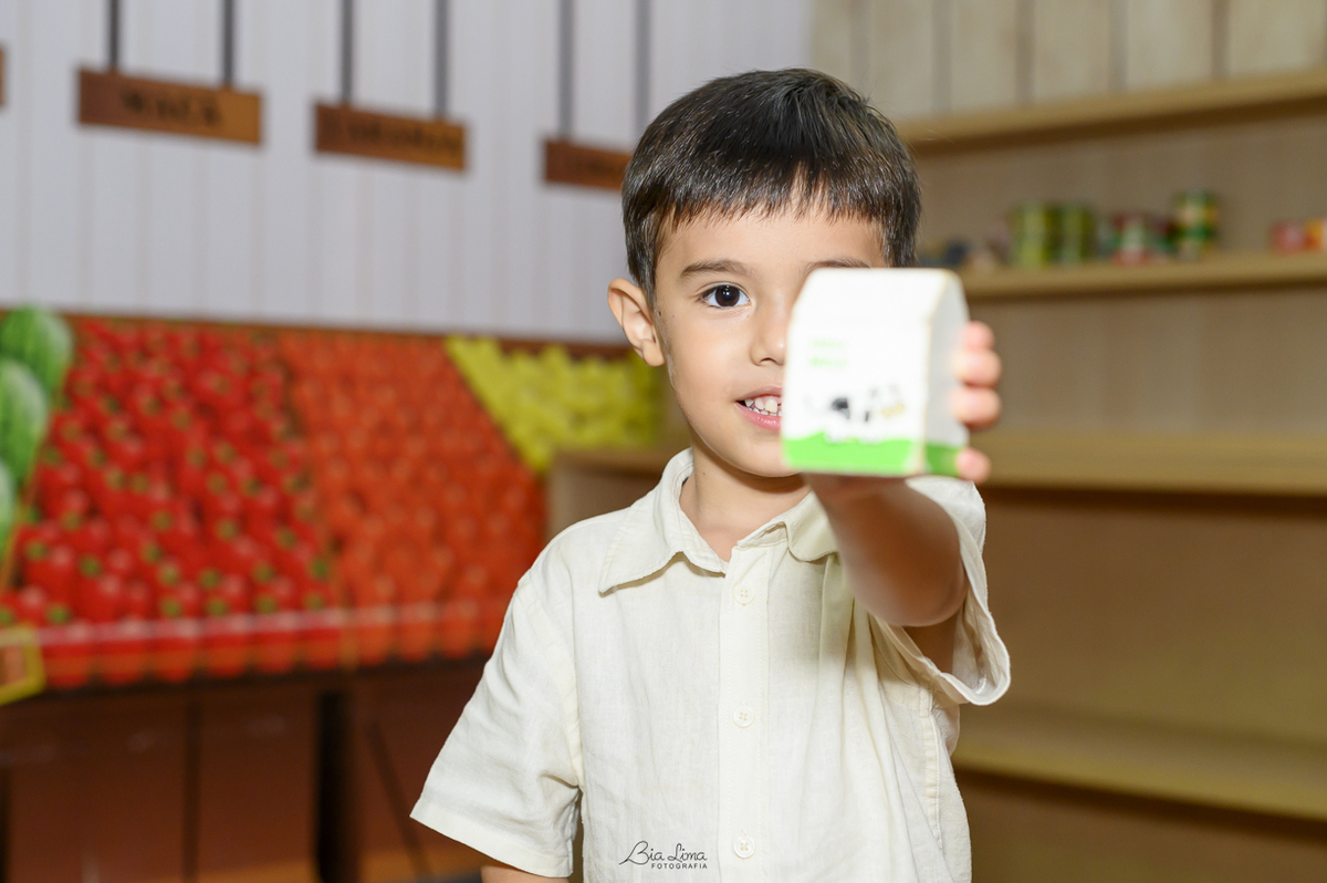 aniversario infantil campinas bia lima fotografia mini vila buffet