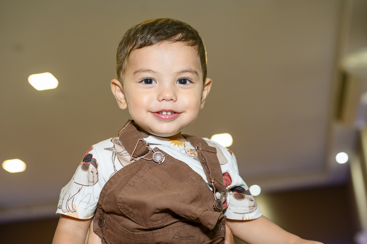 aniversario infantil campinas bia lima fotografia mini vila buffet