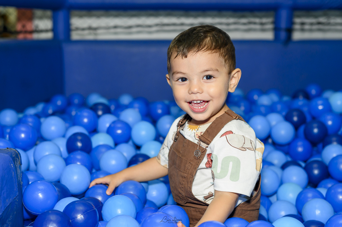 aniversario infantil campinas bia lima fotografia mini vila buffet