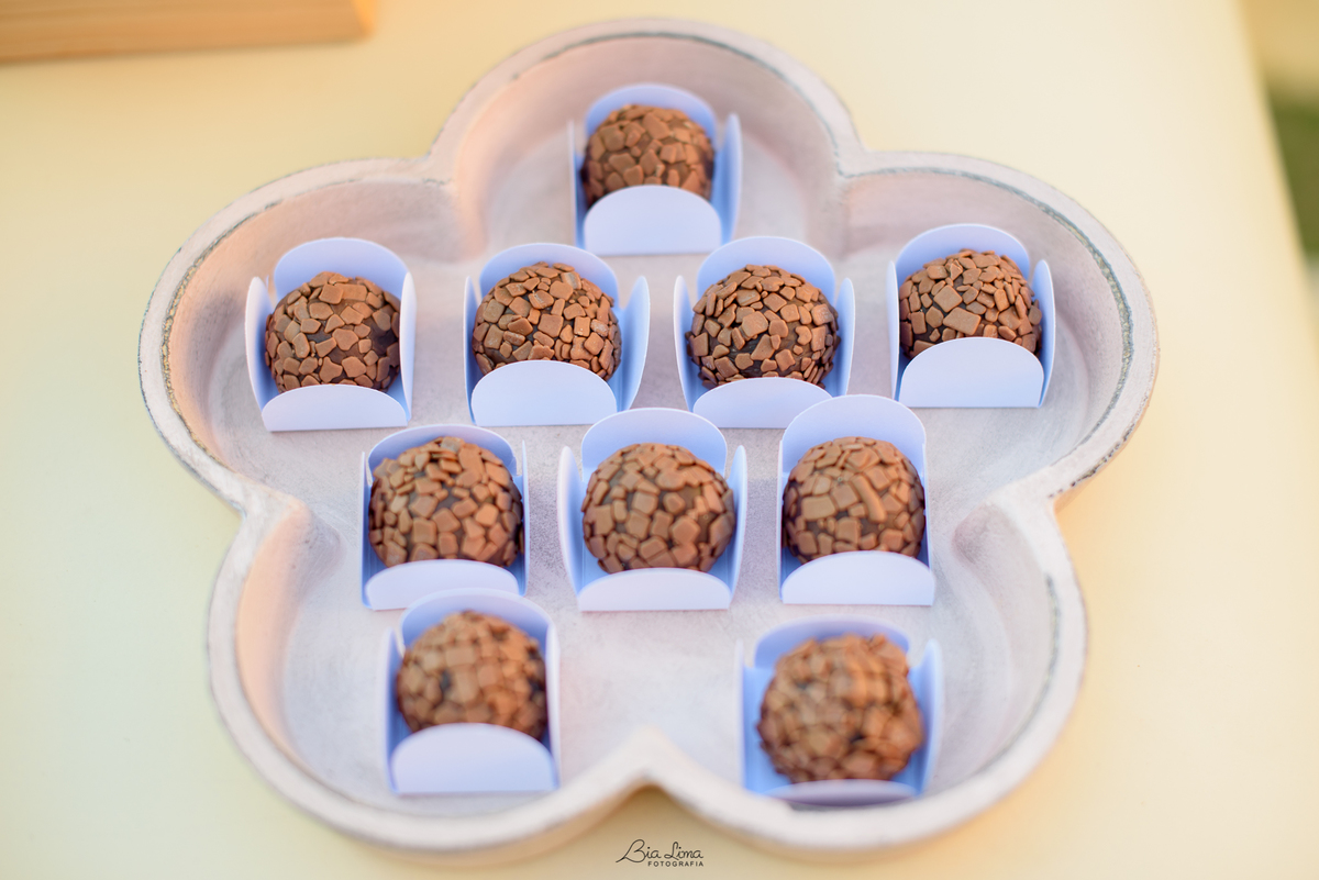 Aniversário infantil bailarina Campinas Valinhos Bia Lima Fotografia