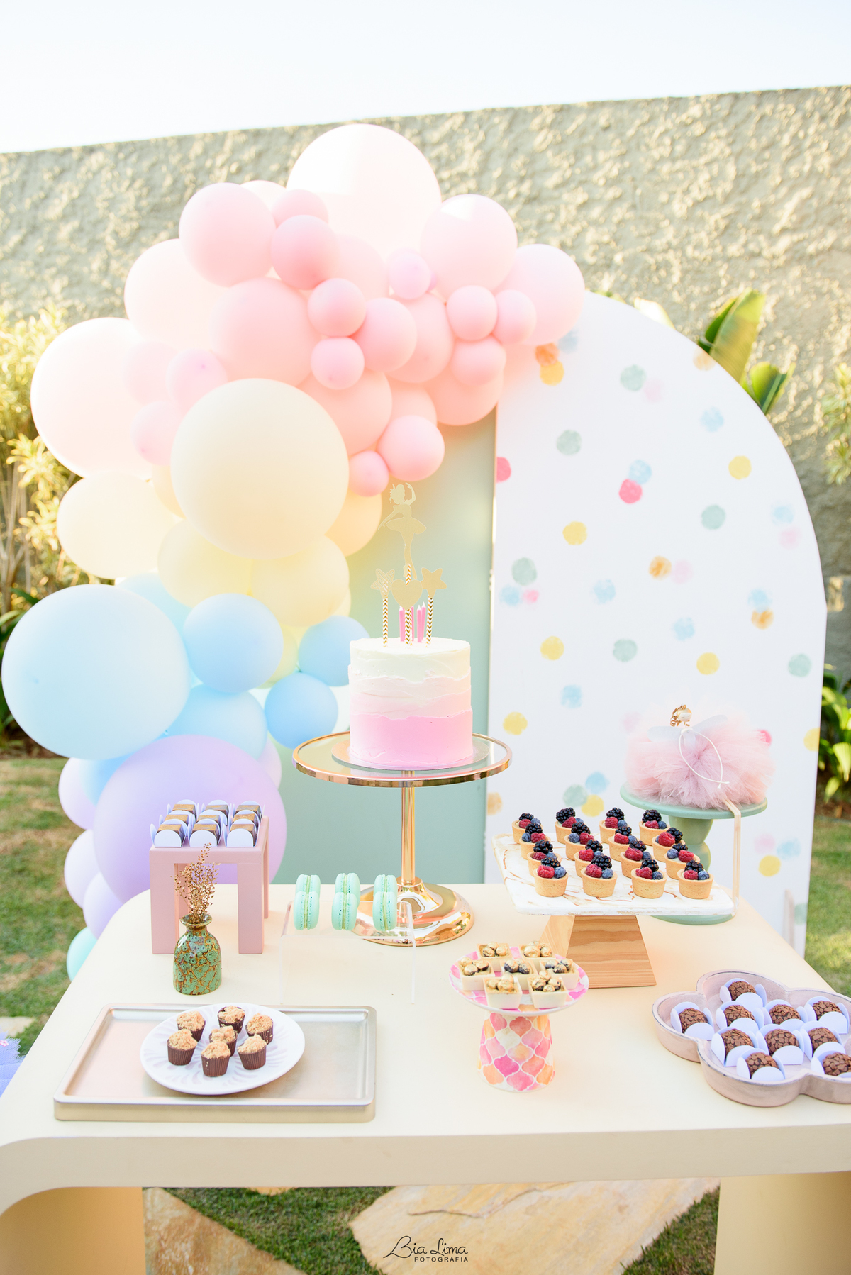 Aniversário infantil bailarina Campinas Valinhos Bia Lima Fotografia