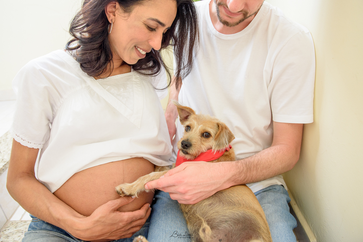 Ensaio Gestante Lifestyle em casa Campinas cachorro pet