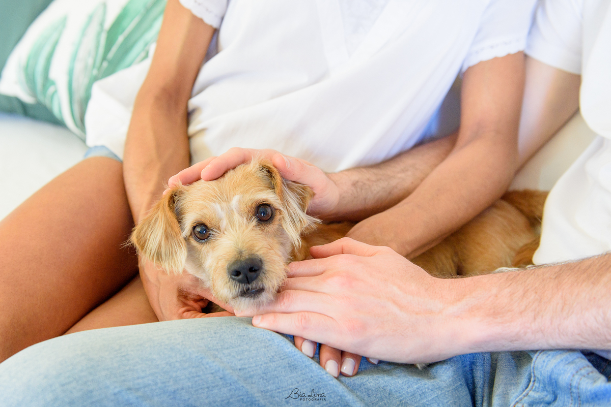 Ensaio Gestante Lifestyle em casa Campinas cachorro pet