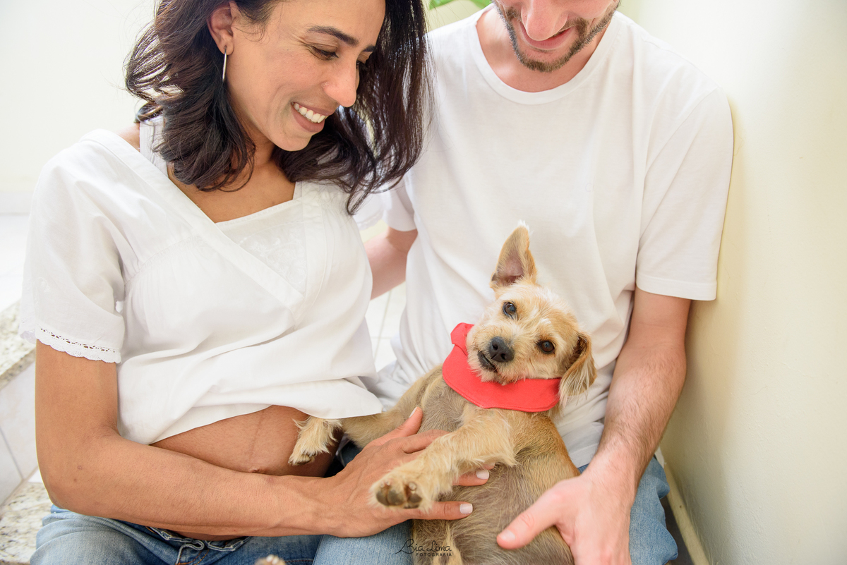 Ensaio Gestante Lifestyle em casa Campinas cachorro pet