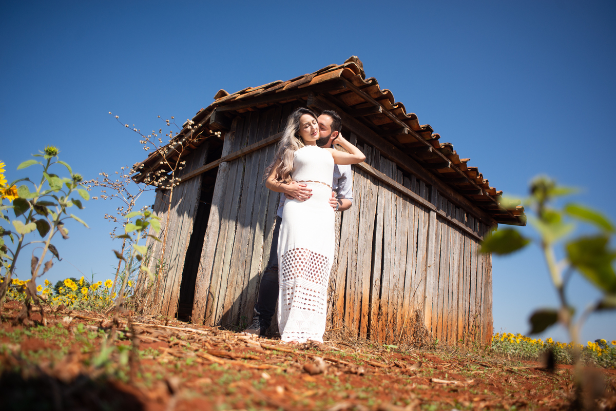 Pre Wedding em Holambra, Pre Casamento em Holambra, Fotografo de casamento, Casamento em Holambra, Fotografo em Holambra, Feira das flores, Girassol, Plantação de Girassol