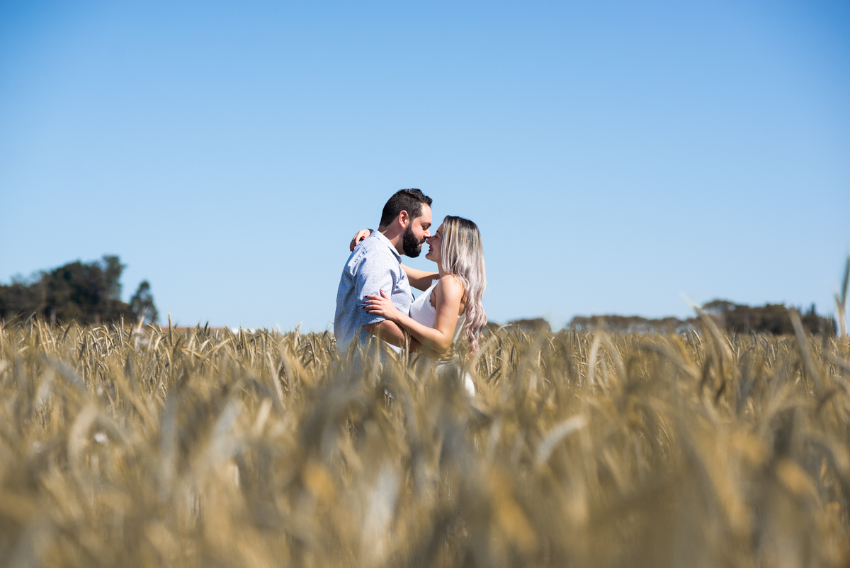 Pre Wedding em Holambra, Pre Casamento em Holambra, Fotografo de casamento, Casamento em Holambra, Fotografo em Holambra, Feira das flores, Girassol, Plantação de Girassol