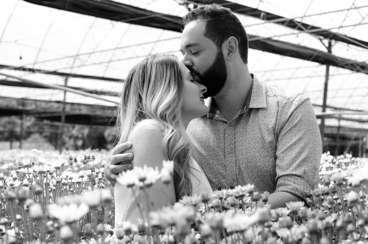 Pre Wedding em Holambra, Pre Casamento em Holambra, Fotografo de casamento, Casamento em Holambra, Fotografo em Holambra, Feira das flores, Girassol, Plantação de Girassol