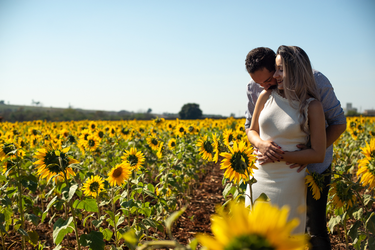 Pre Wedding em Holambra, Pre Casamento em Holambra, Fotografo de casamento, Casamento em Holambra, Fotografo em Holambra, Feira das flores, Girassol, Plantação de Girassol