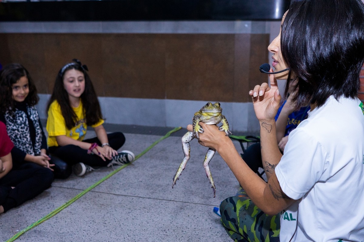 Buffet Kifolia Prime, SOS Ambiental, Teatro ambiental, Fotografo Tatuapé, Fotografo Anália Franco, Fotografo Kifolia, Fotografo de momentos, Fotografia espontânea infantil , Fotografo Buffet Kifolia Prime
