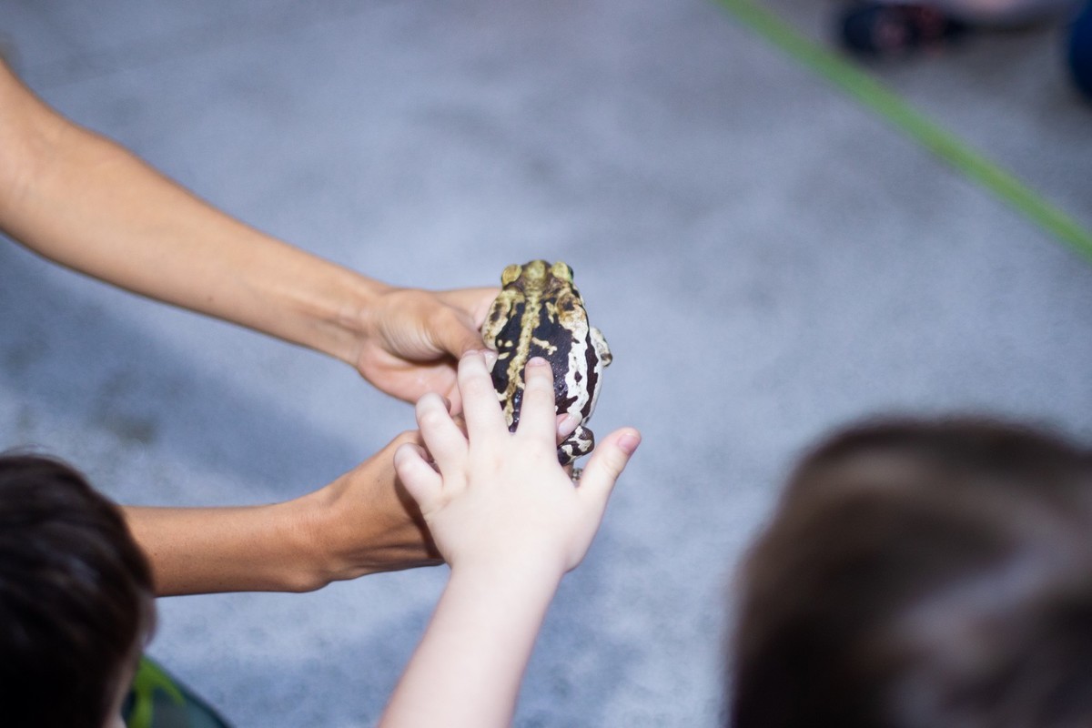 Buffet Kifolia Prime, SOS Ambiental, Teatro ambiental, Fotografo Tatuapé, Fotografo Anália Franco, Fotografo Kifolia, Fotografo de momentos, Fotografia espontânea infantil , Fotografo Buffet Kifolia Prime