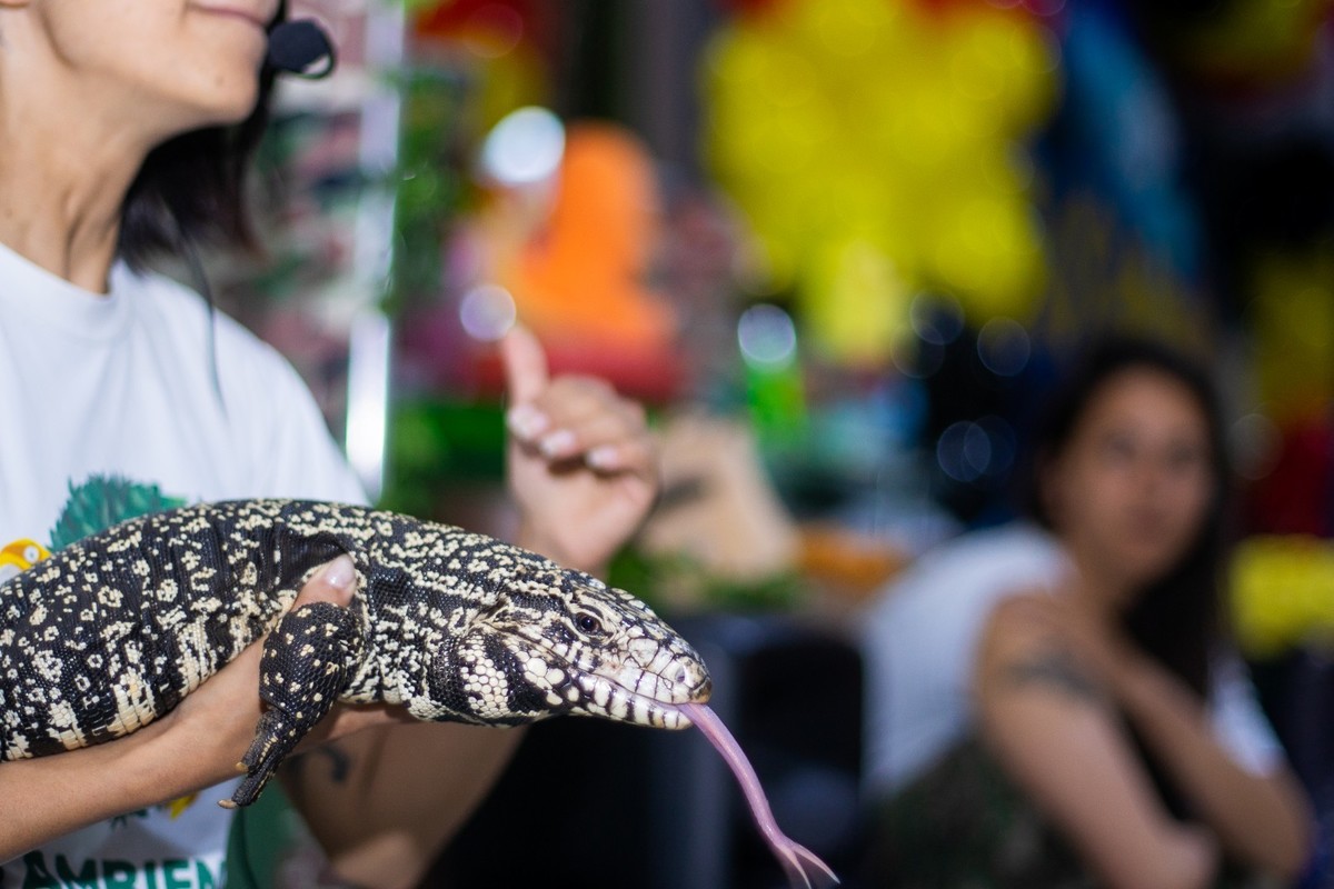 Buffet Kifolia Prime, SOS Ambiental, Teatro ambiental, Fotografo Tatuapé, Fotografo Anália Franco, Fotografo Kifolia, Fotografo de momentos, Fotografia espontânea infantil , Fotografo Buffet Kifolia Prime