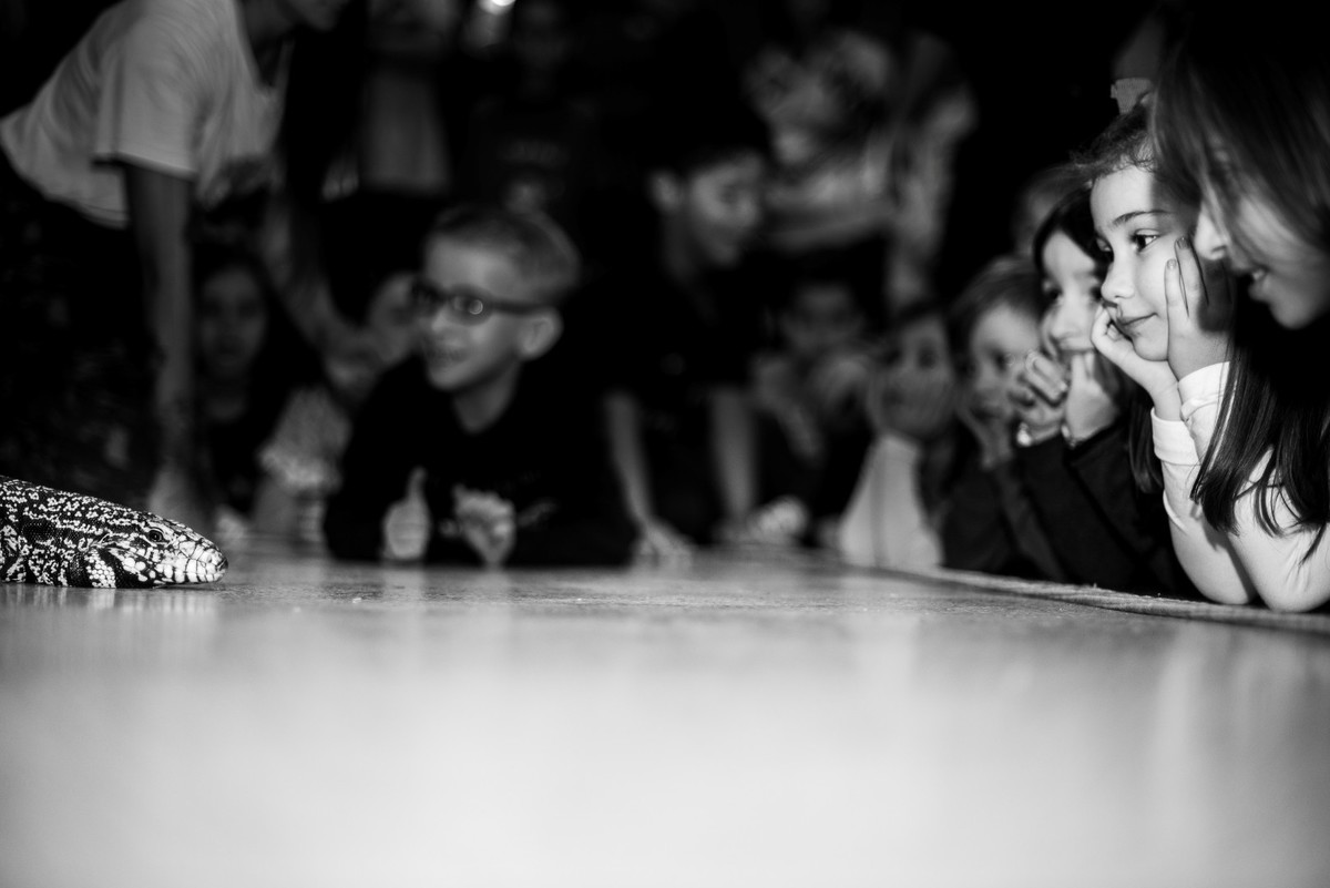 Buffet Kifolia Prime, SOS Ambiental, Teatro ambiental, Fotografo Tatuapé, Fotografo Anália Franco, Fotografo Kifolia, Fotografo de momentos, Fotografia espontânea infantil , Fotografo Buffet Kifolia Prime