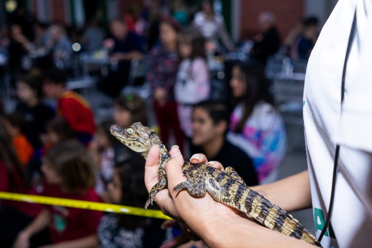 Buffet Kifolia Prime, SOS Ambiental, Teatro ambiental, Fotografo Tatuapé, Fotografo Anália Franco, Fotografo Kifolia, Fotografo de momentos, Fotografia espontânea infantil , Fotografo Buffet Kifolia Prime